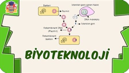 Biyoteknoloji ve Genetik Mühendisliği Yenilikleri