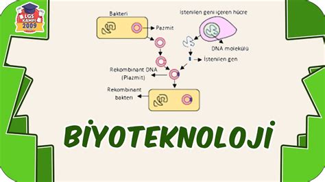 Biyoteknoloji ve Genetik Mühendisliği Yenilikleri